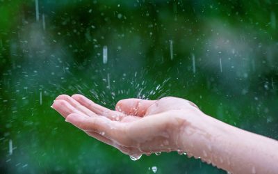 Rainy Day Fun: 10 Family Adventures Near Hope Valley Holidays