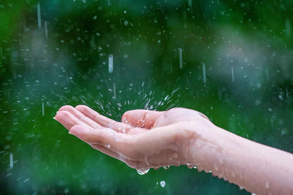 Rainy Day Fun: 10 Family Adventures Near Hope Valley Holidays